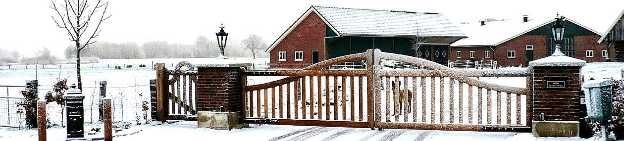 Houten tuinpoorten